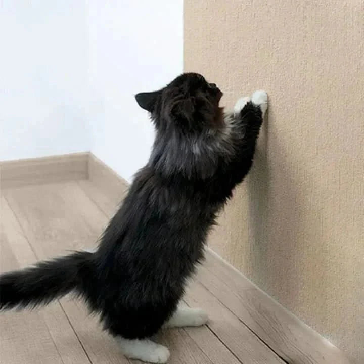 FURNISH GUARD – Stylish Scratch Mat for Furniture Protection & Healthy Claw Care