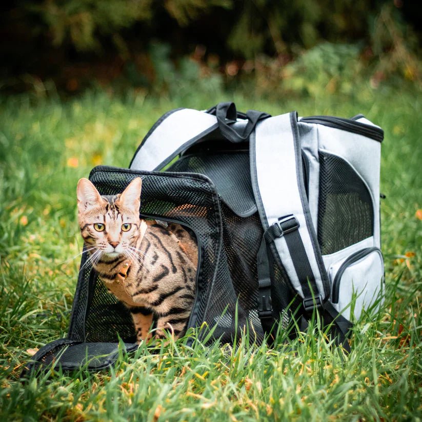 PAWSPHERE – Comfortable Cat Backpack with Viewing Window
