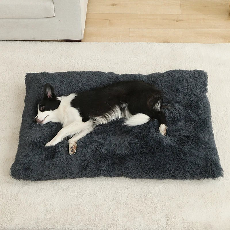 FURLOUNGE – Plush Cushion Bed & Cat Pad for Daily Comfort