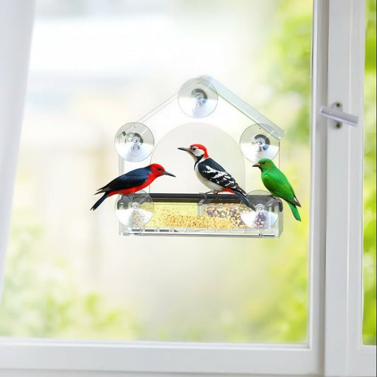 BIRDVISTA – Acrylic Window Bird Feeder with Strong Suction Cups for Close Observation