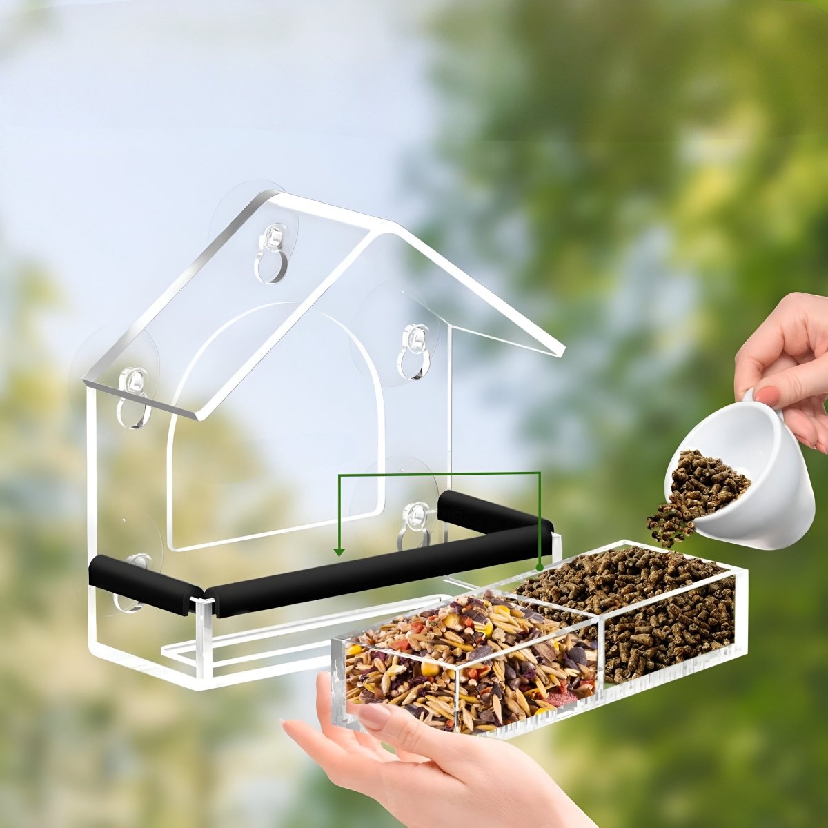 BIRDVISTA – Acrylic Window Bird Feeder with Strong Suction Cups for Close Observation