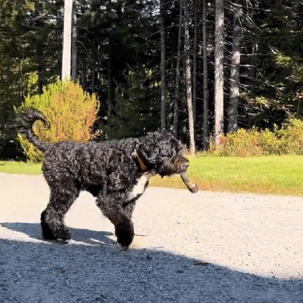 SPLIFFYPUP – Plush Joint Toy for Playful Puppies