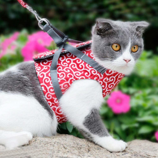 PAWVENTURE – Cat Harness Vest for Safety & Comfort