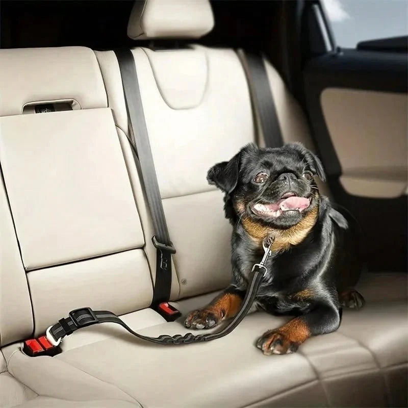 SAFETAIL – Adjustable Safety Belt for Dogs in the Car