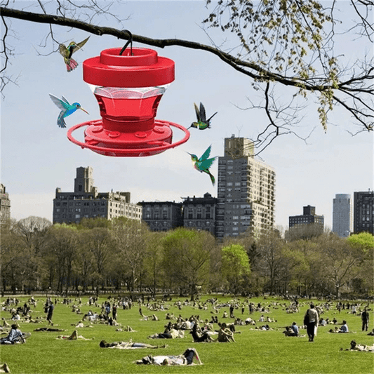 FLUTTERFEED – Bee-safe Hummingbird Feeder with Ant Protection & 473 ml