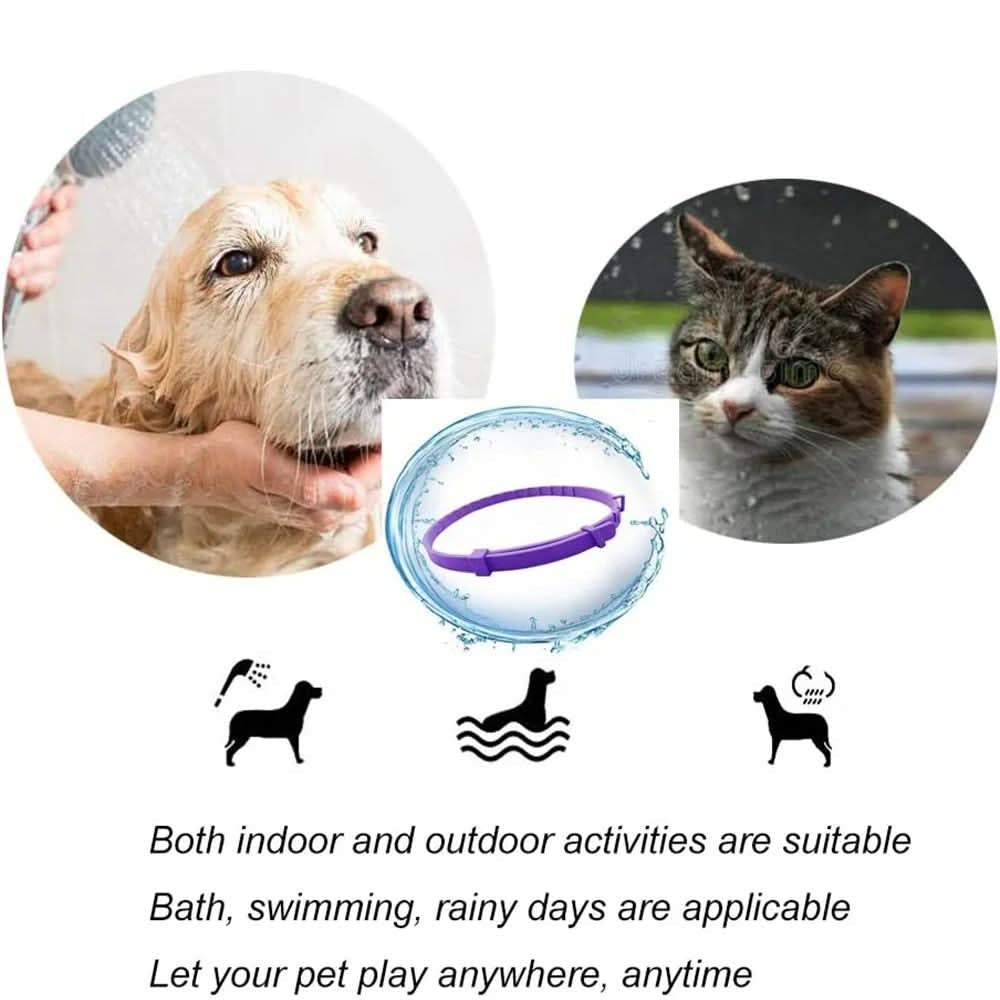 DEFENSCOLLAR – Flea & Tick Protection Collar for Dogs & Cats