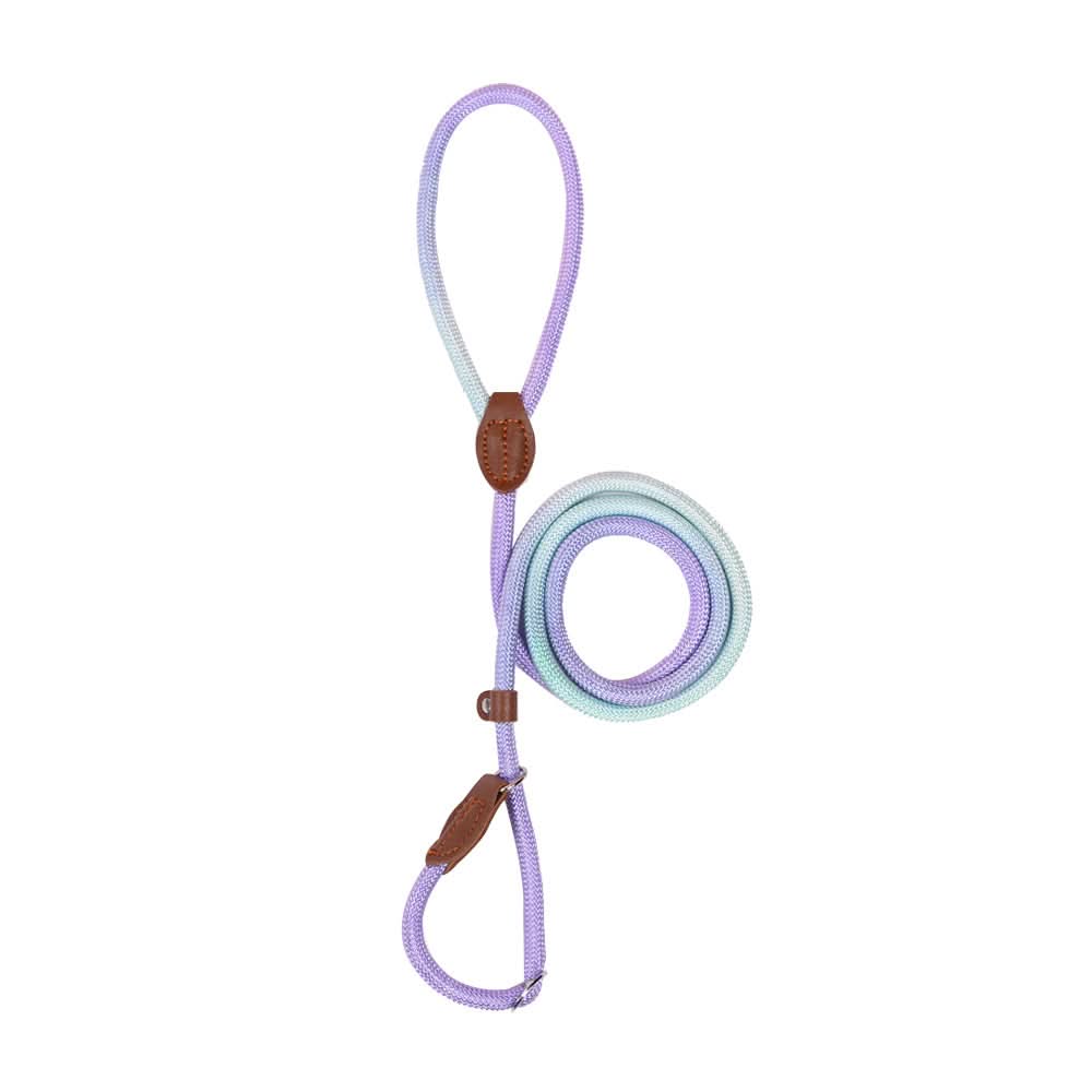 COLORLEASH – Colorful Dog Leash for Stylish Walks