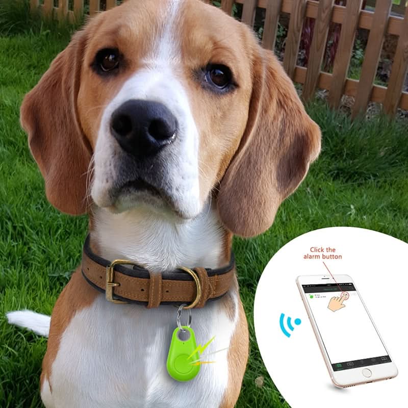 PAWFINDER - GPS tracker for pets with real-time tracking & safety zones