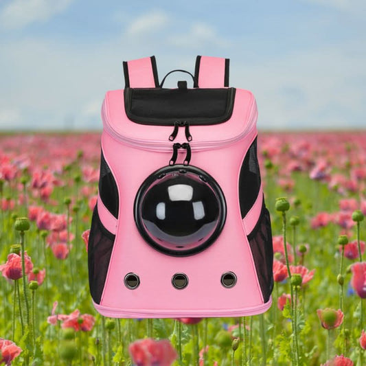 PANORIX – Foldable Cat Travel Bag with Panoramic Window