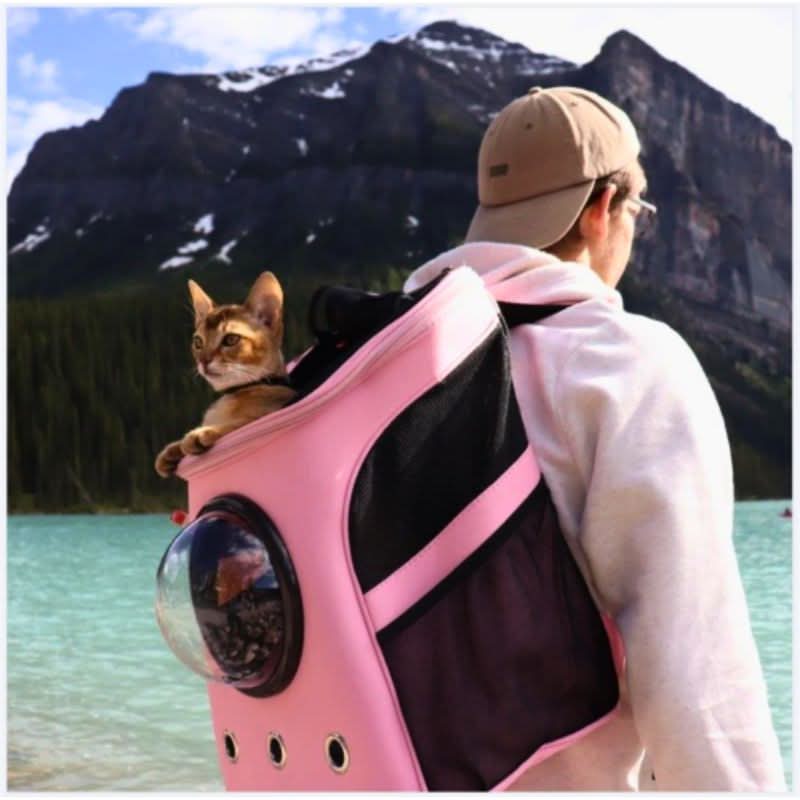 PANORIX – Foldable Cat Travel Bag with Panoramic Window