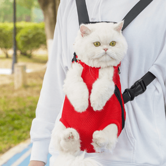 PETGO – Breathable travel backpack for comfortable pet carrying