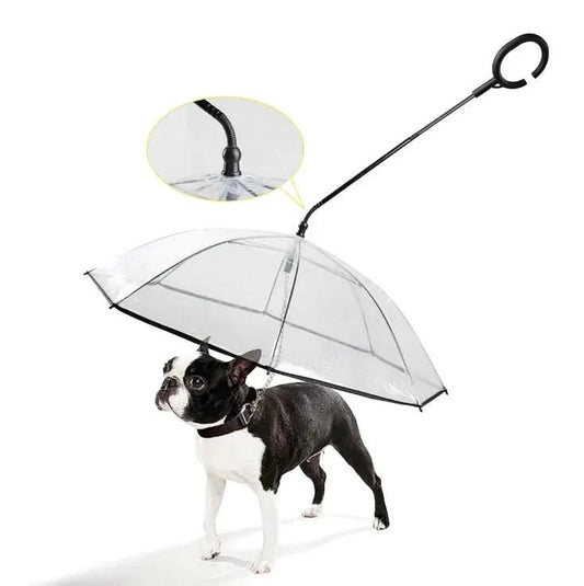Rainguard Umbrella - Transparent umbrella for dogs