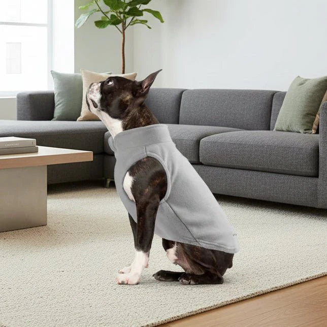 PETSNUG – Warm Dog Vest with D-Ring & Fleece Lining