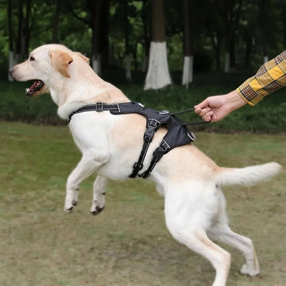 NOPULL DOG HARNESS – reflective and escape-proof for safe walks
