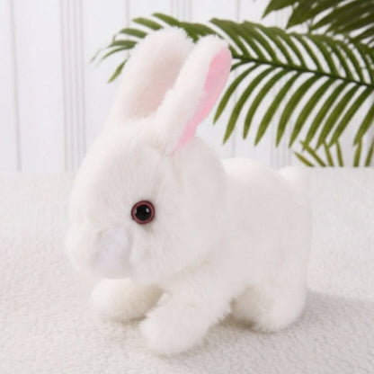 PETPLAY BUNNY – Interactive Toy for Active and Happy Pets