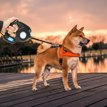 BRIGHTSTRIDE – LED Dog Leash with Integrated Flashlight for Safe Walks