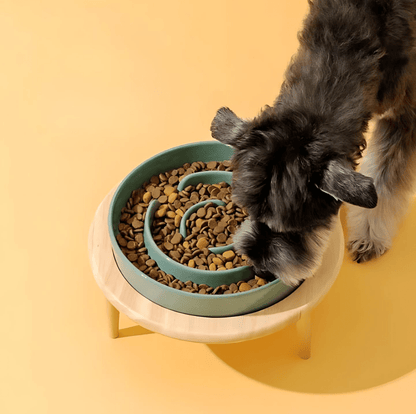 PAWSAVOR – Premium Slow Feeder Bowl for Dogs & Cats