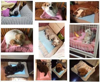 CHILLPAW – Cooling Pet Bed for Hot Days