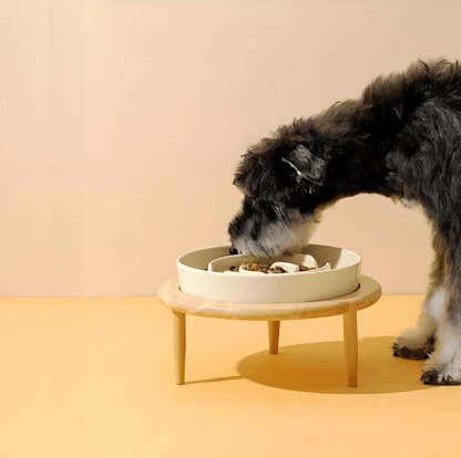 PAWSAVOR – Premium Slow Feeder Bowl for Dogs & Cats