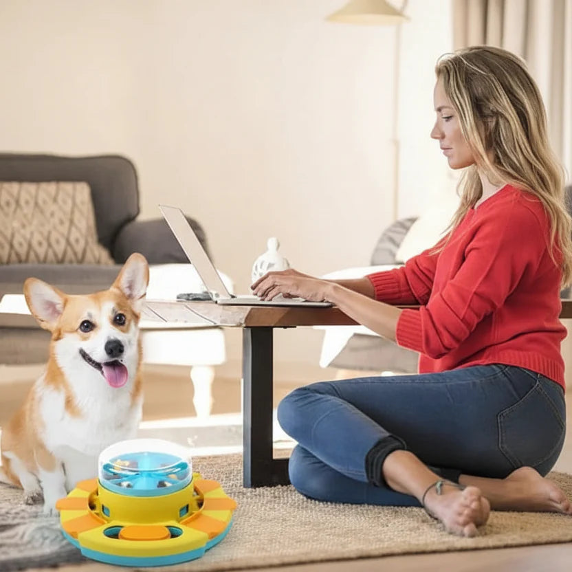 NIBBLEMAZE – Interactive Anti-Gulping Bowl for Dogs & Cats