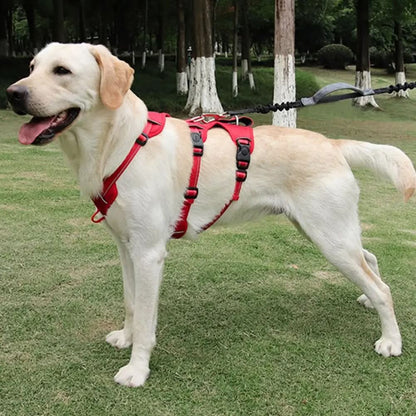 NOPULL DOG HARNESS – reflective and escape-proof for safe walks