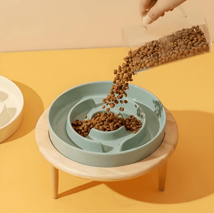 PAWSAVOR – Premium Slow Feeder Bowl for Dogs & Cats