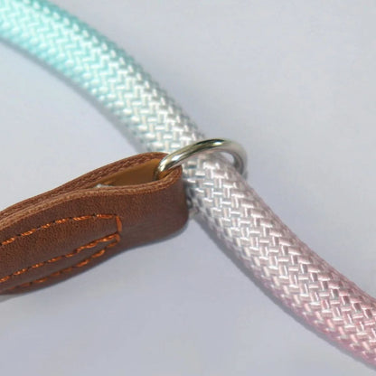 COLORLEASH – Colorful Dog Leash for Stylish Walks
