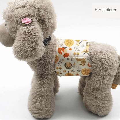 CLEANPAW - Washable dog nappies for comfort & protection against incontinence