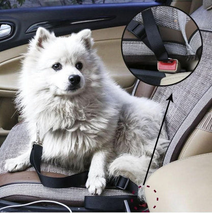 PETECURE - Adjustable safety belt for pets in the car