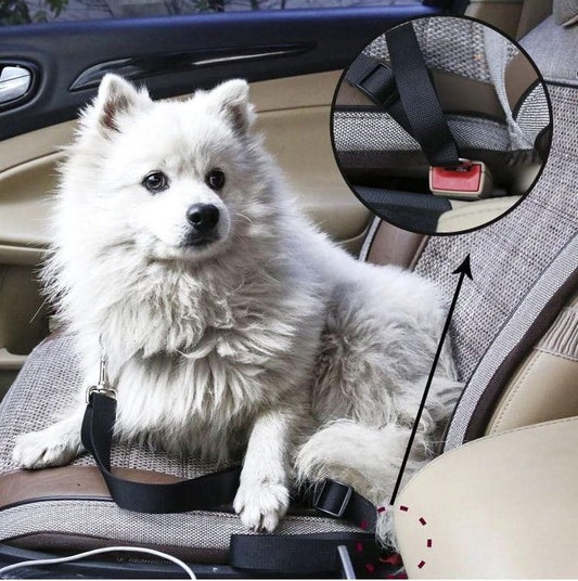 PETECURE - Adjustable safety belt for pets in the car