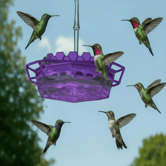 HUMMIFEED – Colorful Hanging Hummingbird Feeder & Weatherproof Bird Bath