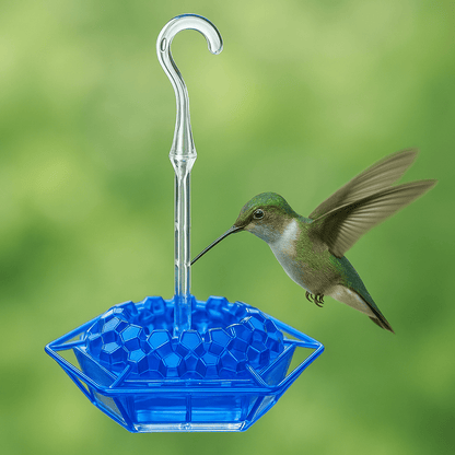 HUMMIFEED – Colorful Hanging Hummingbird Feeder & Weatherproof Bird Bath