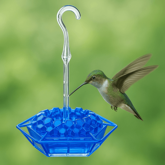 HUMMIFEED – Colorful Hanging Hummingbird Feeder & Weatherproof Bird Bath
