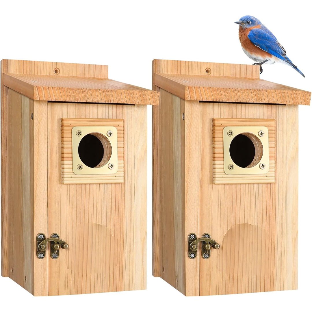 SKYDWELL – Cedar Wood Nesting House for Blue Jays, Swallows, and Small Birds