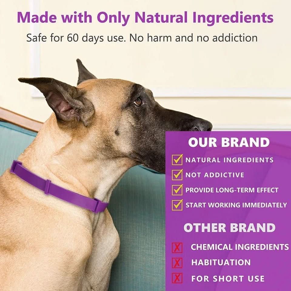 CALMDOG - Calming collar with pheromones for relaxed dogs