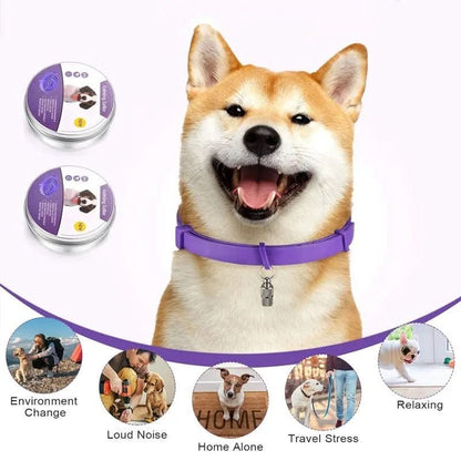 CALMDOG - Calming collar with pheromones for relaxed dogs