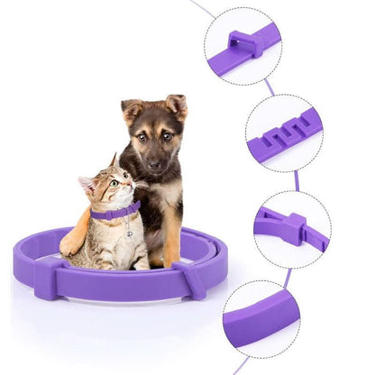 CALMDOG - Calming collar with pheromones for relaxed dogs