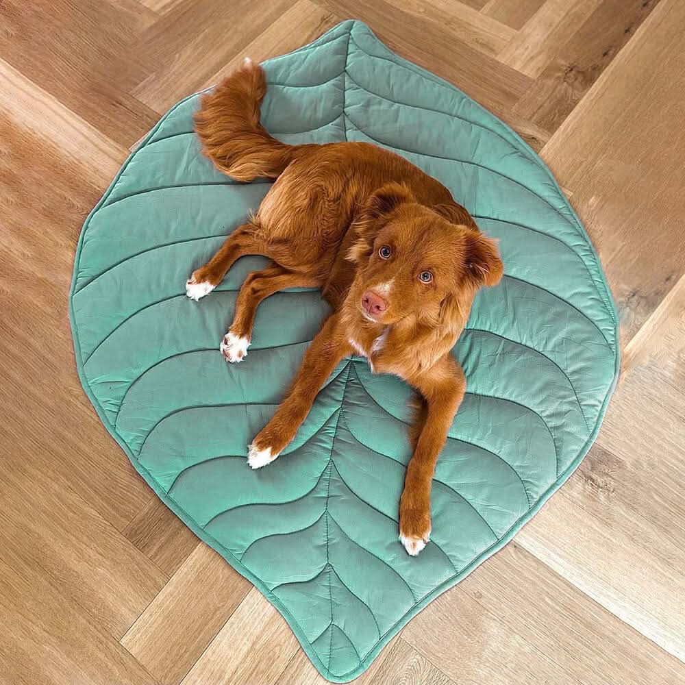 LeafPaws Blanket - Stylish dog blanket in leaf shape with soft padding & versatile use