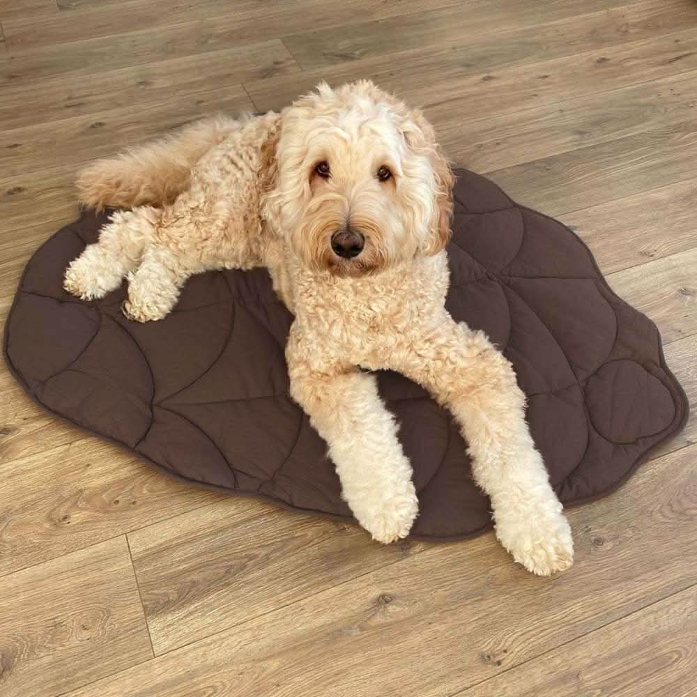 LeafPaws Blanket - Stylish dog blanket in leaf shape with soft padding & versatile use