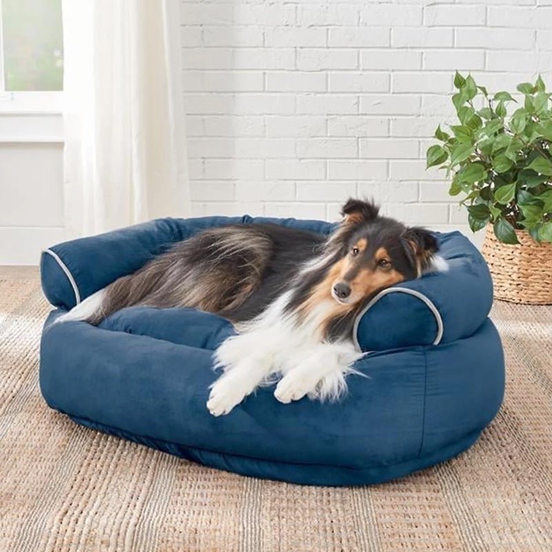 CANICLOUD – Orthopedic Dog Sofa Bed with Pressure-Relieving Padding for Older Dogs
