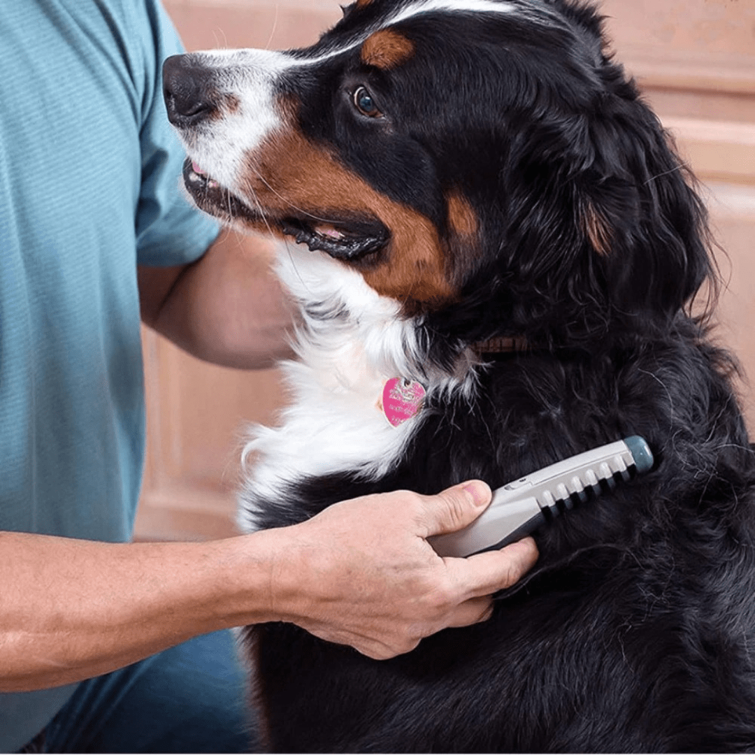 CALMCOAT – Gentle animal fur trimmer for all types of fur