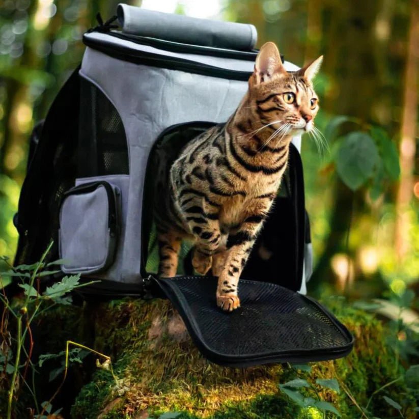PAWSPHERE – Comfortable Cat Backpack with Viewing Window