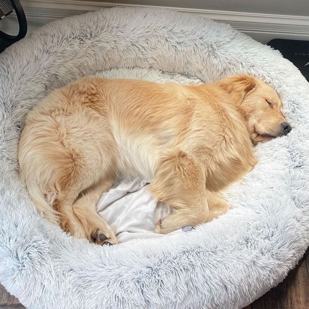CALMVIA – Soothing Faux Fur Dog Bed for Relaxed & Cozy Sleep
