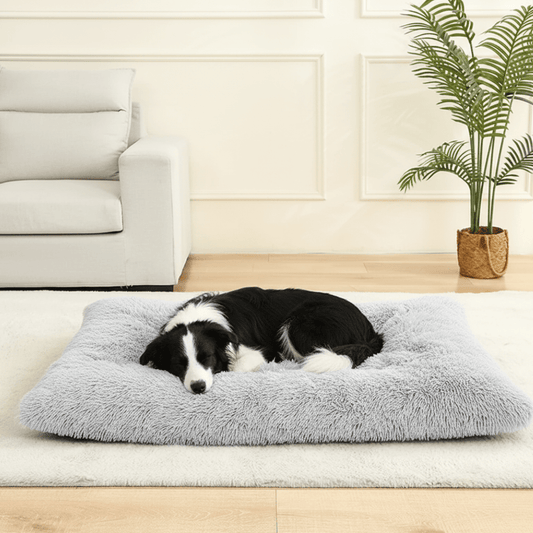 FURLOUNGE – Plush Cushion Bed & Cat Pad for Daily Comfort