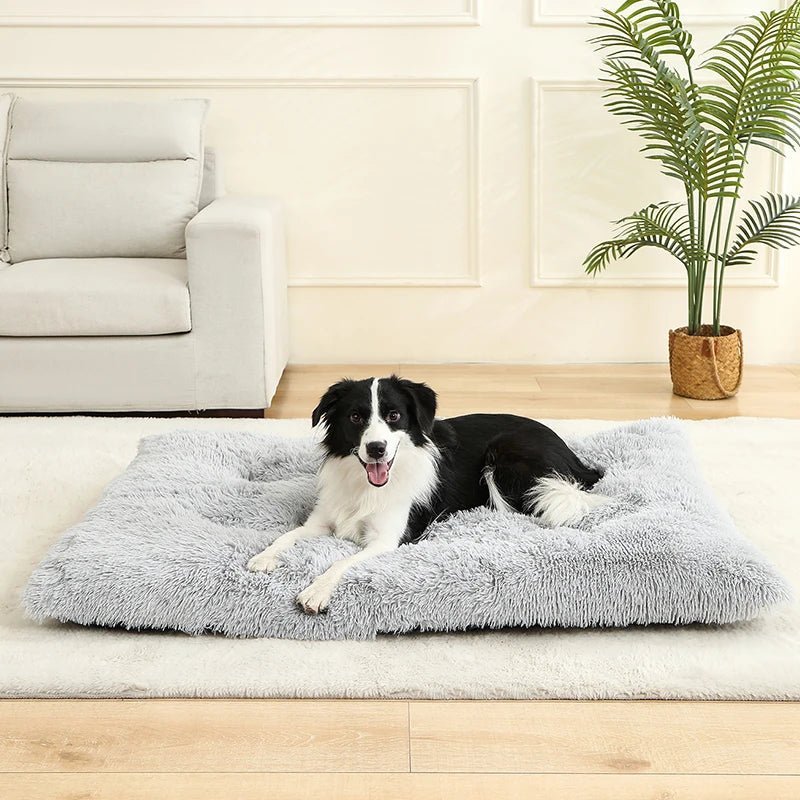 FURLOUNGE – Plush Cushion Bed & Cat Pad for Daily Comfort