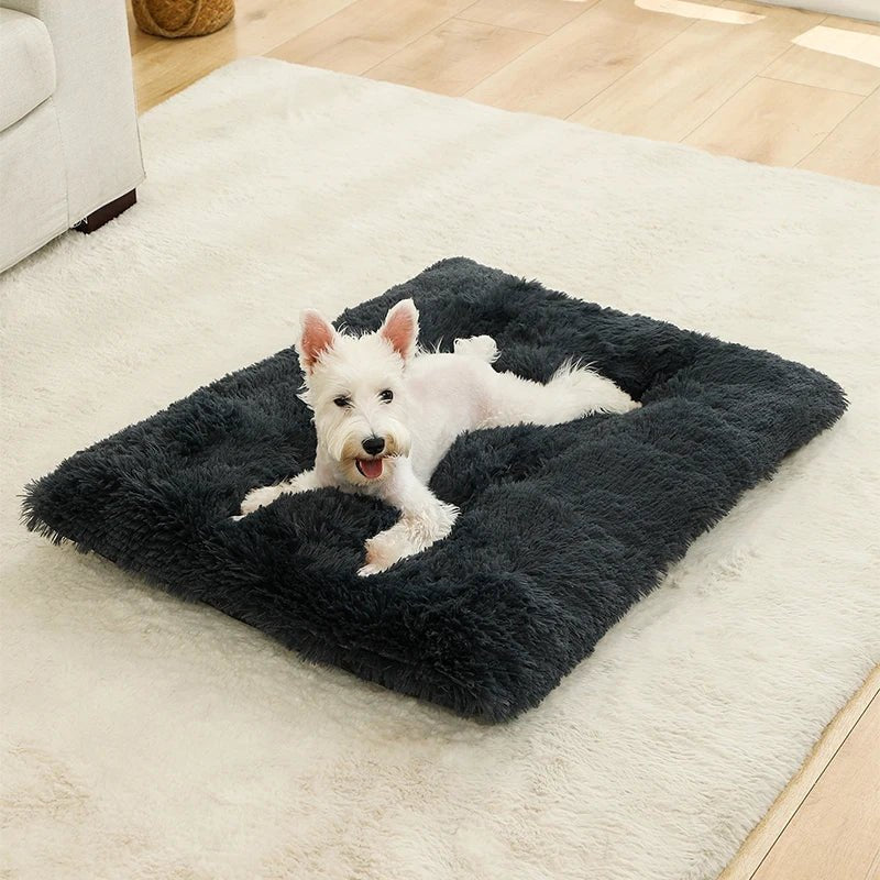 FURLOUNGE – Plush Cushion Bed & Cat Pad for Daily Comfort