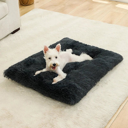 FURLOUNGE – Plush Cushion Bed & Cat Pad for Daily Comfort