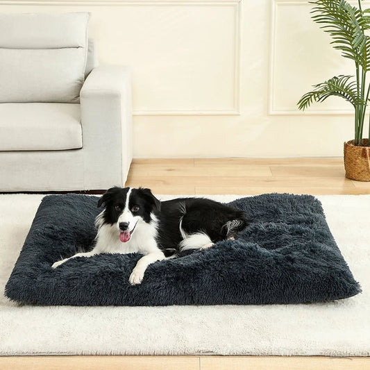 FURLOUNGE – Plush Cushion Bed & Cat Pad for Daily Comfort