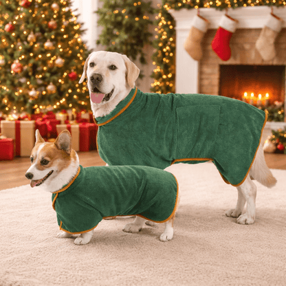 DRYTAIL – Dog Coat for Comfort and Quick Drying