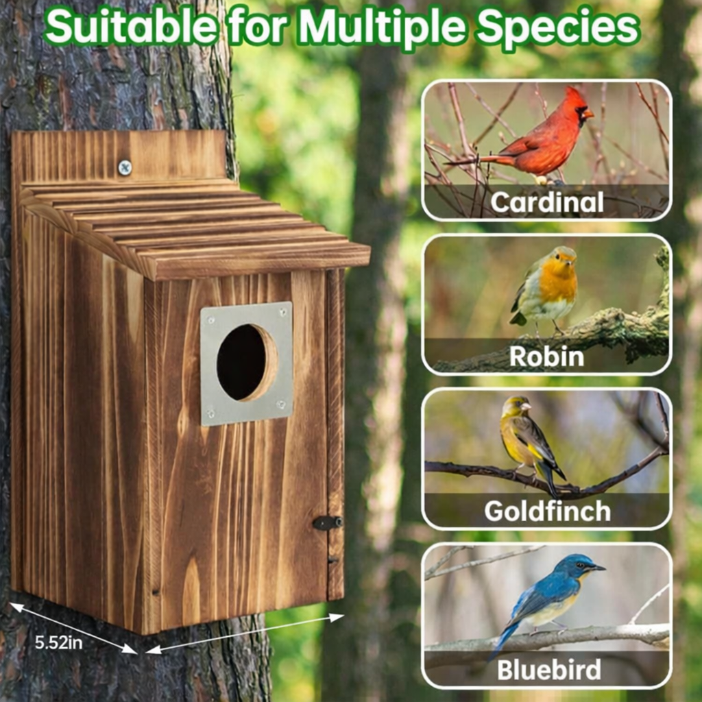 SKYDWELL – Cedar Wood Nesting House for Blue Jays, Swallows, and Small Birds